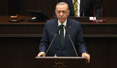 Cumhurbaşkanı Erdoğan’dan sokak hayvanları düzenlemesine ilişkin açıklama: “Öncelik sahiplendirme olacak”