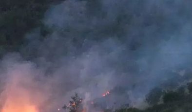 Son 2 günde 10 ayrı noktada orman yangını çıktı! Uzmanı “Çok büyük bir ekolojik felaket” dedi