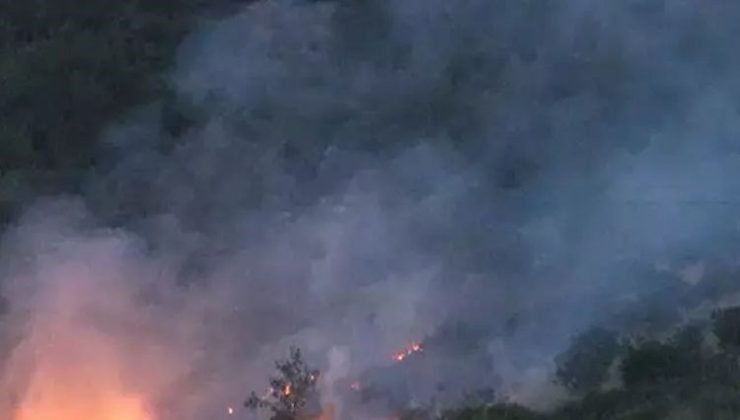Son 2 günde 10 ayrı noktada orman yangını çıktı! Uzmanı “Çok büyük bir ekolojik felaket” dedi