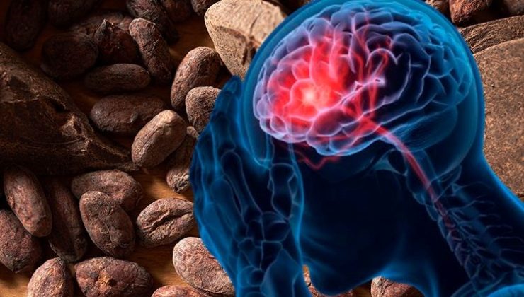 Hafızayı çelik gibi güçlendiren 6 besin! Her gün yiyince beyni gençleştiriyor, zihni açıyor