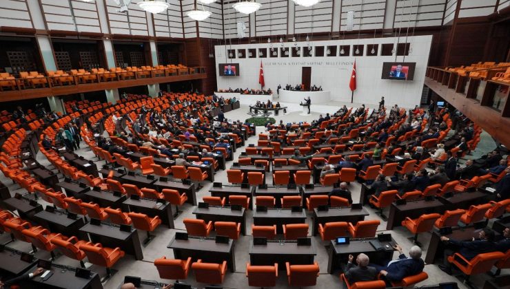 Sahipsiz köpek düzenlemesi TBMM’de: Teklifin 10 maddesi daha kabul edildi