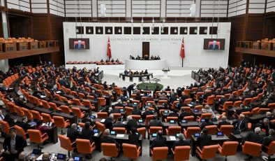 TBMM’de gündem yoğun: Sokak köpeklerine ilişkin teklifin komisyon süreci başlıyor