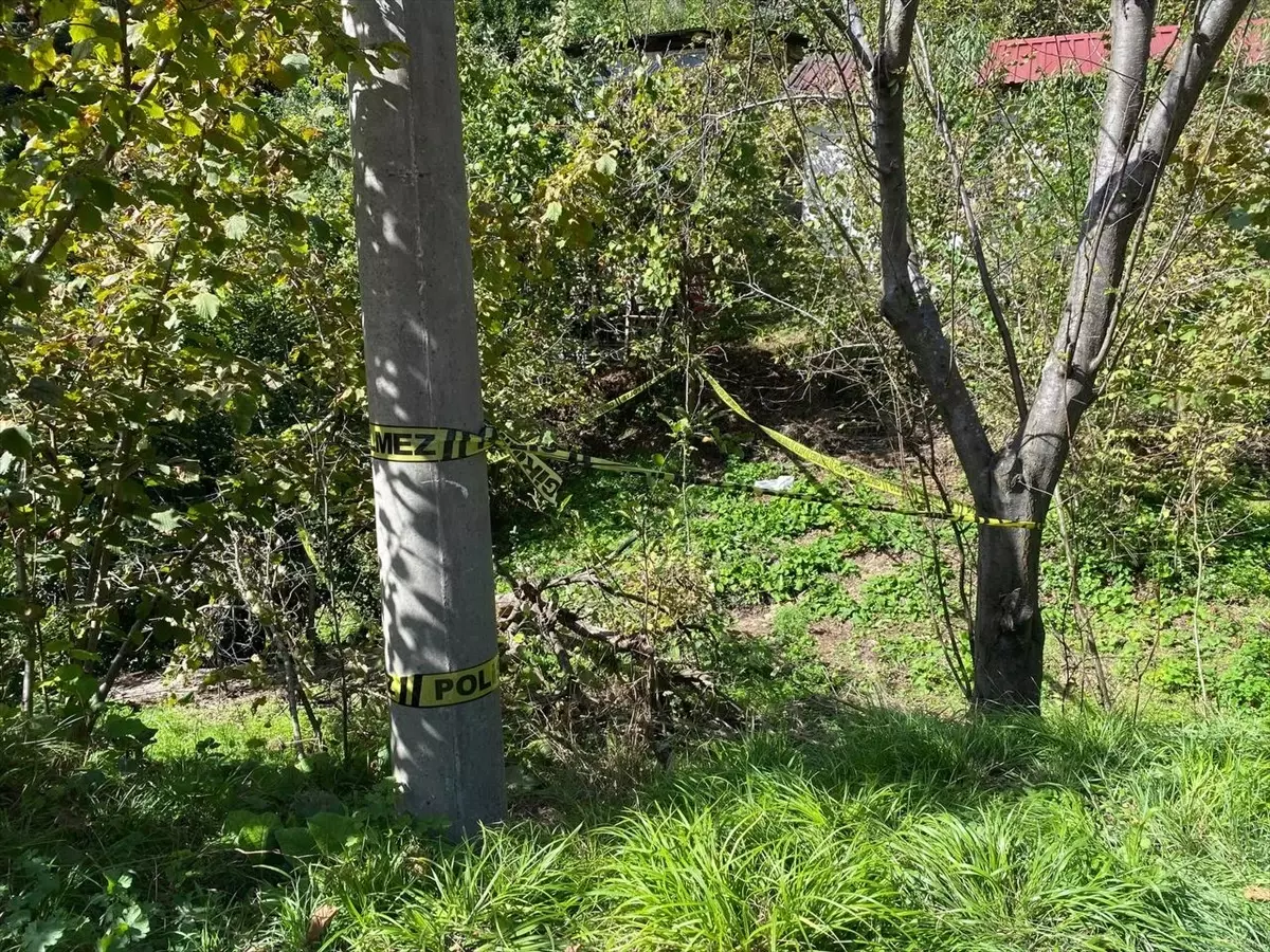 Zonguldak’ta Domuz Sanılarak Vurulan Kadın Hayatını Kaybetti