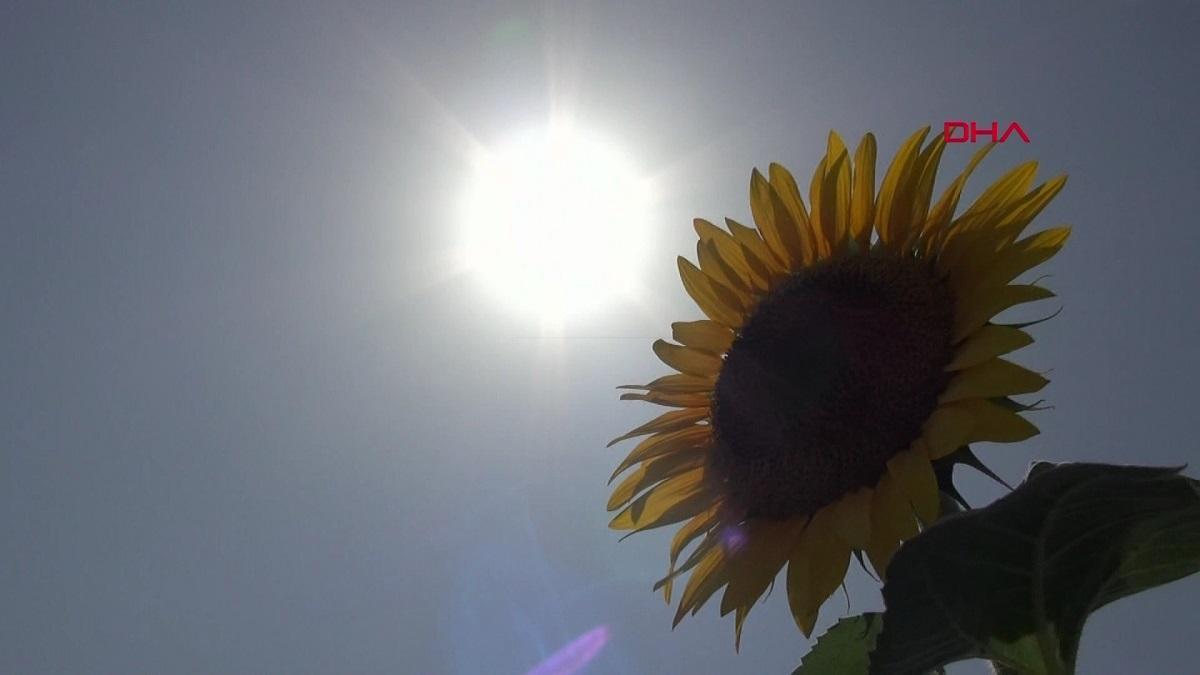 Asya’dan Avrupa’ya uzanan gelenek: ”Nevruz Bayramı” nasıl doğdu?